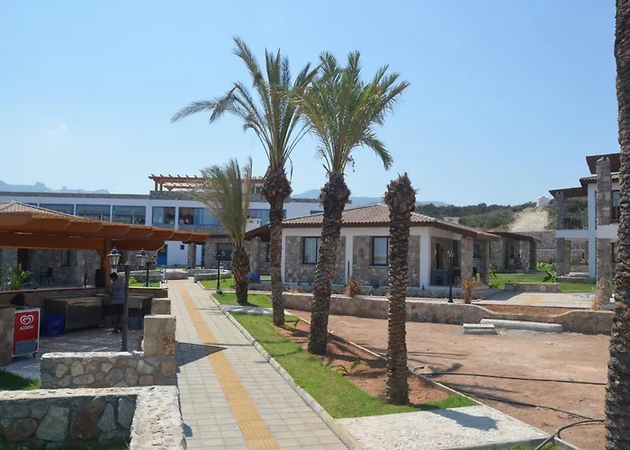 Bed & Breakfast Ardic Agaci Village 3*