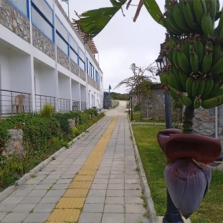 Ardic Agaci Village