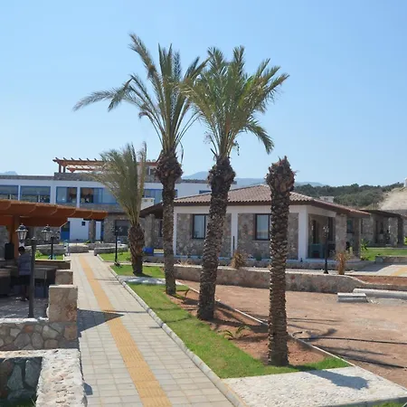 Bed and Breakfast Ardic Agaci Village *