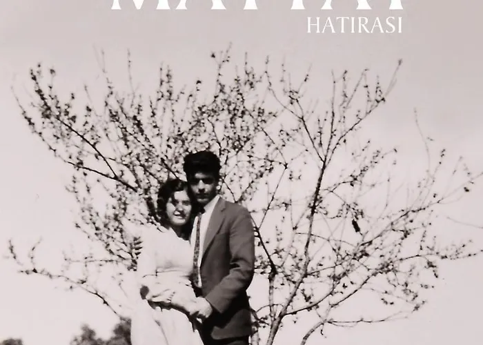 ベッド・アンド・ブレックファスト Ardic Agaci Village Akanthou