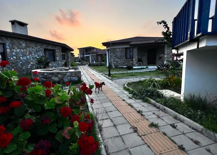 Ardic Agaci Village 3* Akanthou